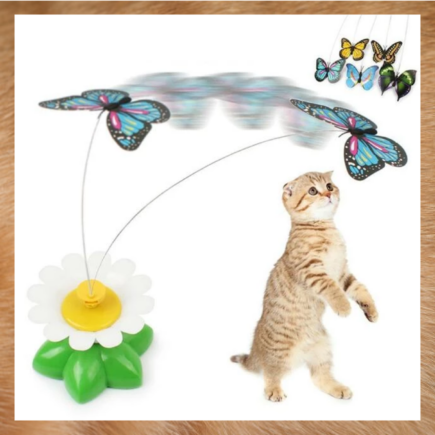 Flying Bird for Cats